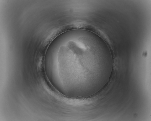 X0000112090018200908111405