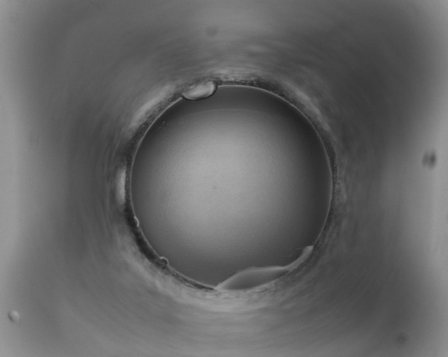 X0000112090019200908111405