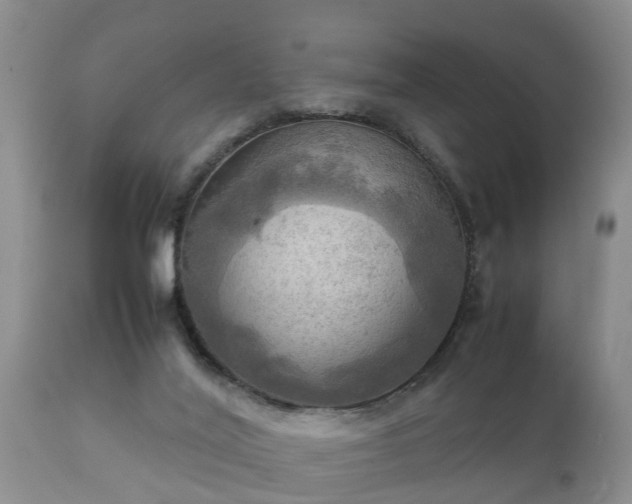 X0000112090020200908111405