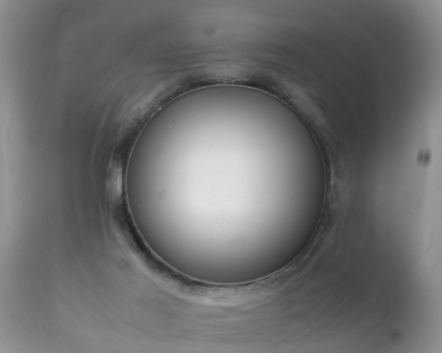 X0000112090021200908111405