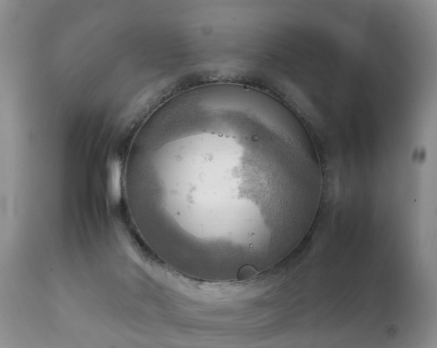 X0000112090022200908111405