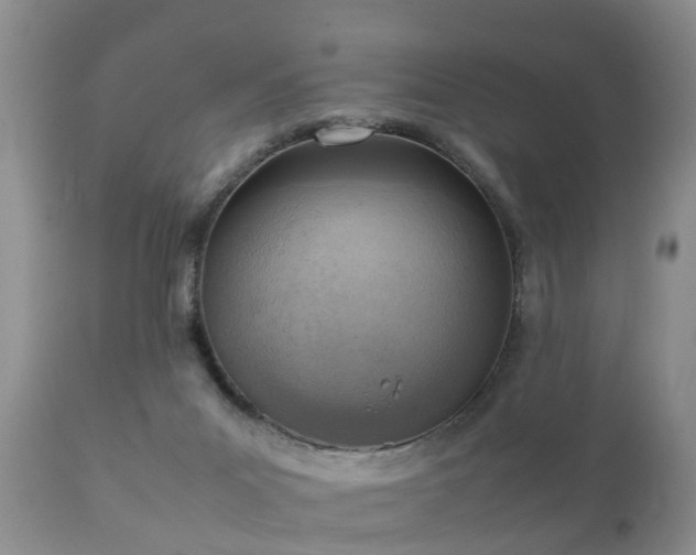 X0000112090023200908111405