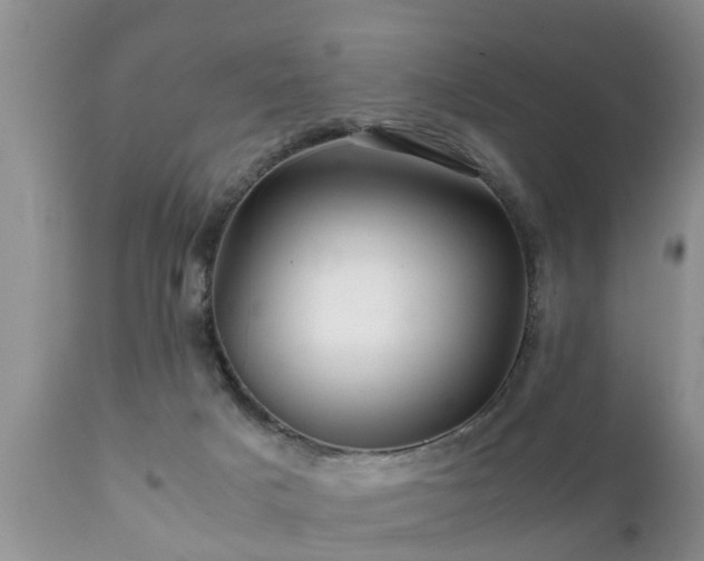 X0000112090025200908111405