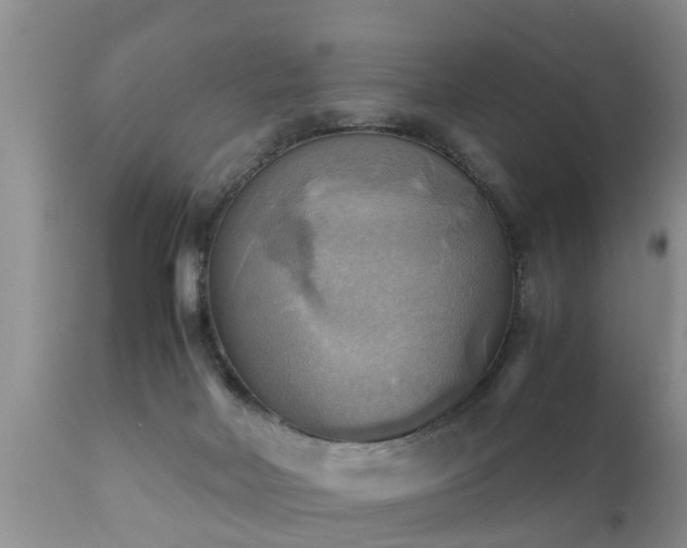 X0000112090026200908111405