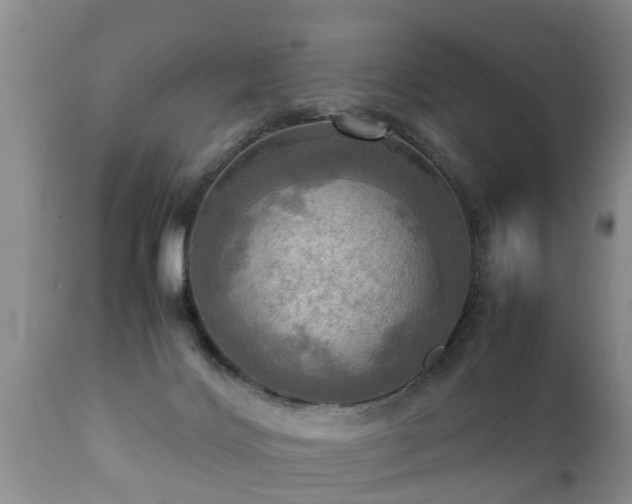 X0000112090028200908111405