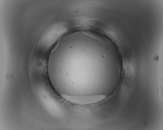 X0000112090029200908111405