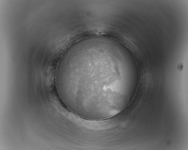 X0000112090030200908111405