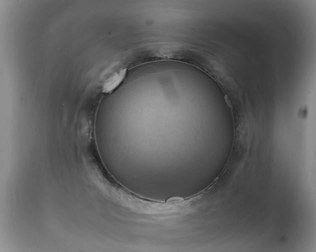 X0000112090031200908111404