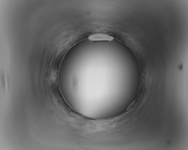 X0000112090033200908111404