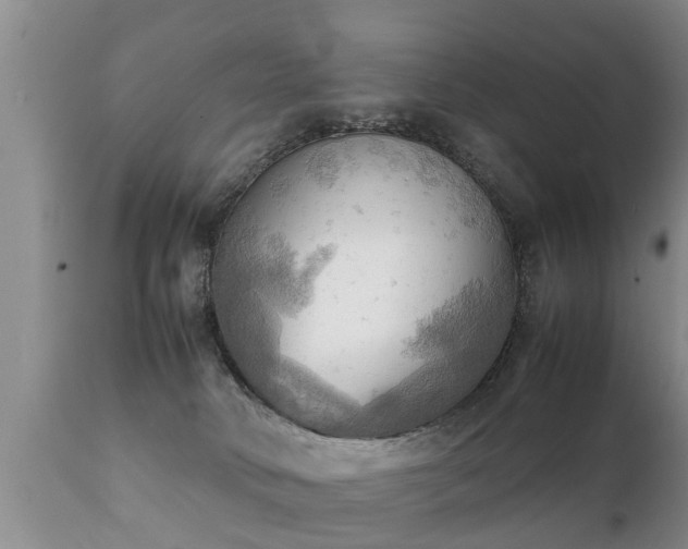 X0000112090034200908111404