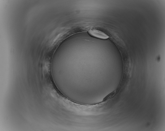 X0000112090035200908111404