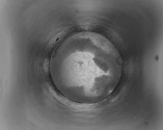 X0000112090036200908111404