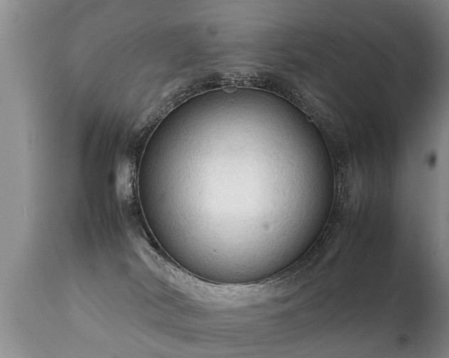 X0000112090038200908111404