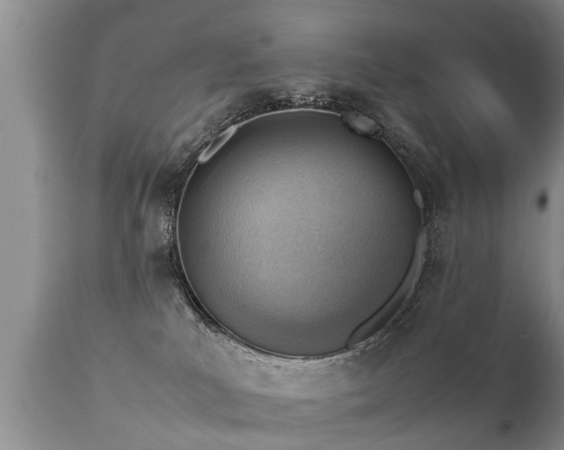 X0000112090039200908111404