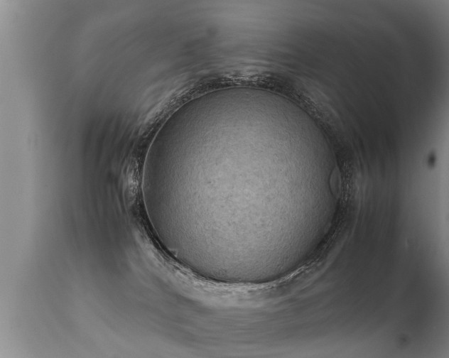 X0000112090040200908111404