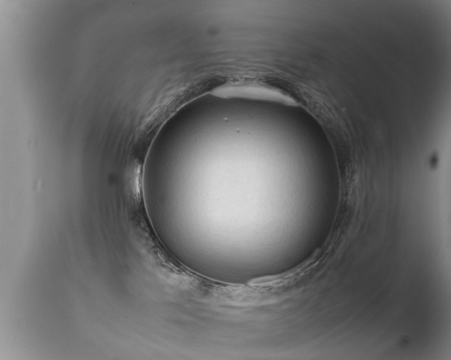 X0000112090041200908111404