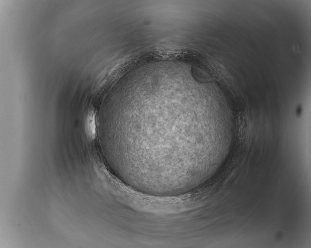 X0000112090042200908111404