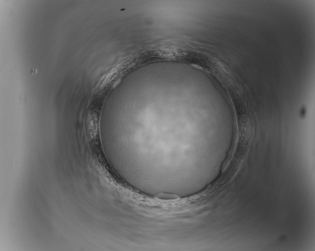 X0000112090043200908111404