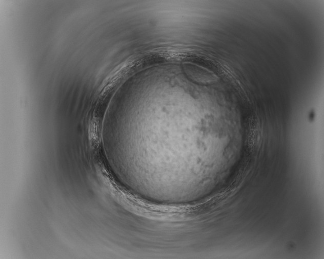 X0000112090044200908111404