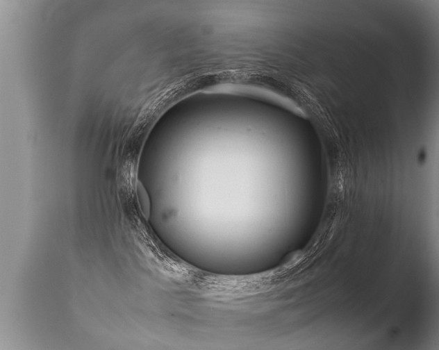 X0000112090045200908111404