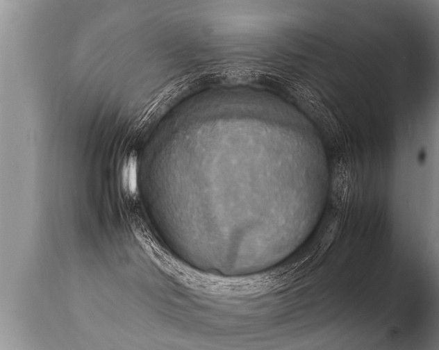 X0000112090046200908111404