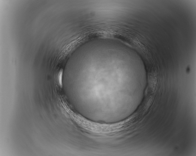 X0000112090047200908111404