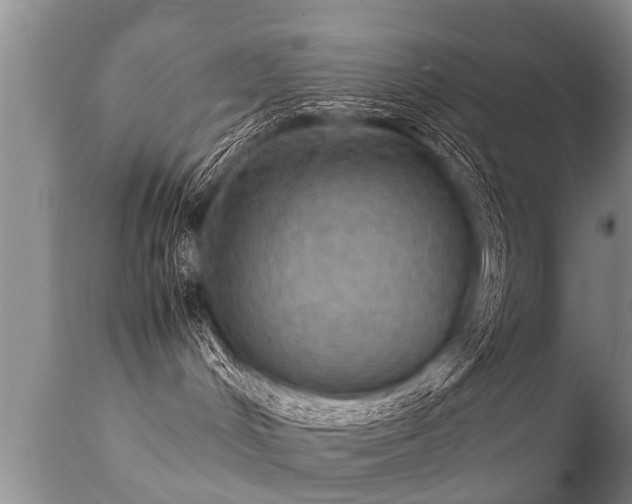 X0000112090048200908111404