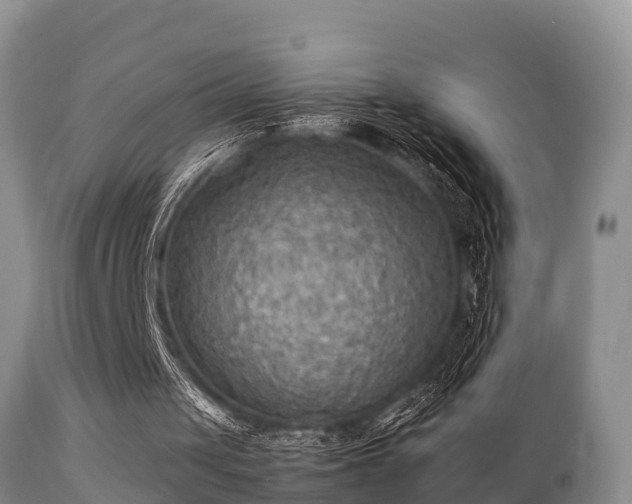 X0000112090049200908111403