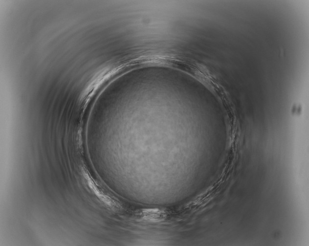 X0000112090050200908111403