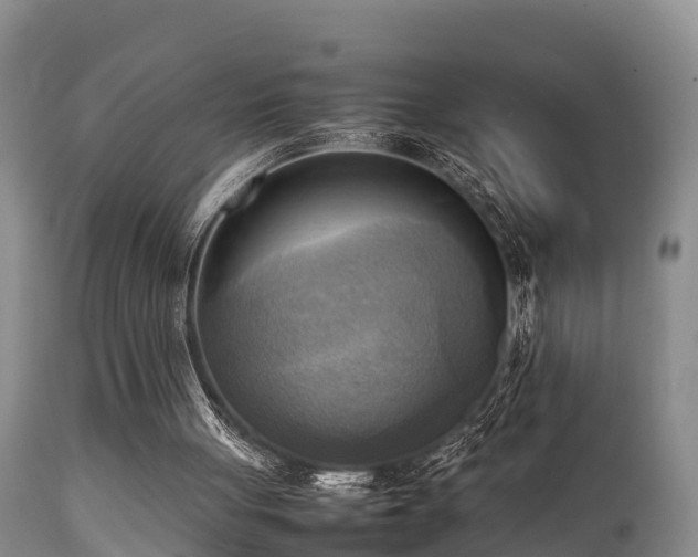 X0000112090051200908111404