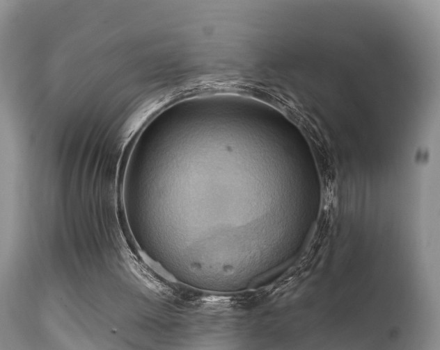 X0000112090052200908111404