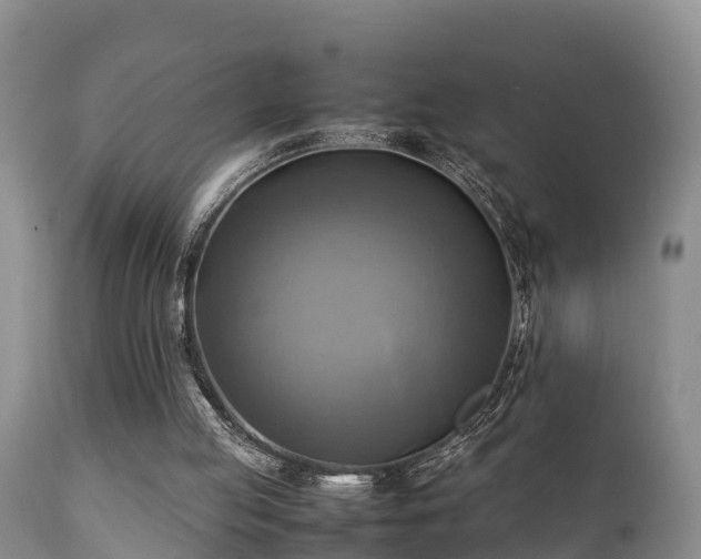 X0000112090053200908111404