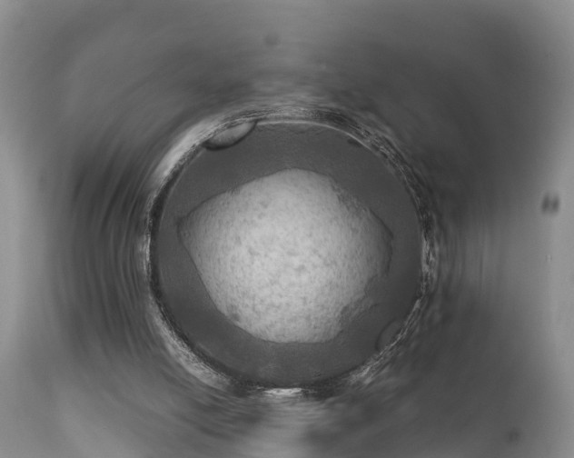 X0000112090054200908111404