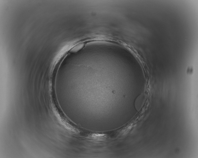 X0000112090055200908111404