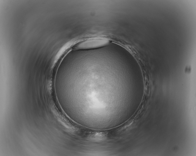 X0000112090056200908111404