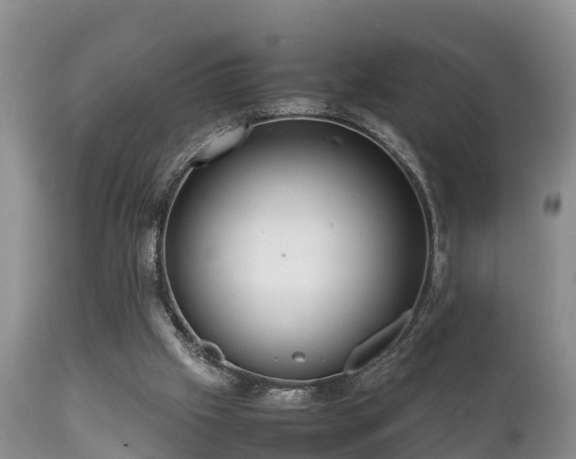 X0000112090057200908111404