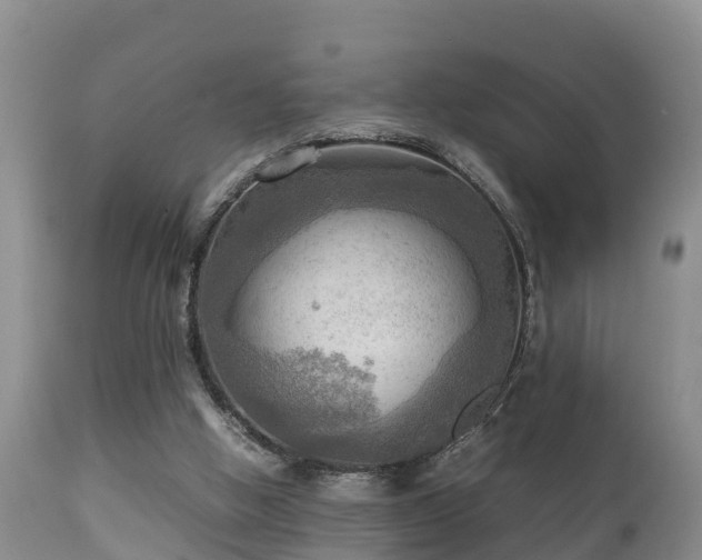 X0000112090058200908111404