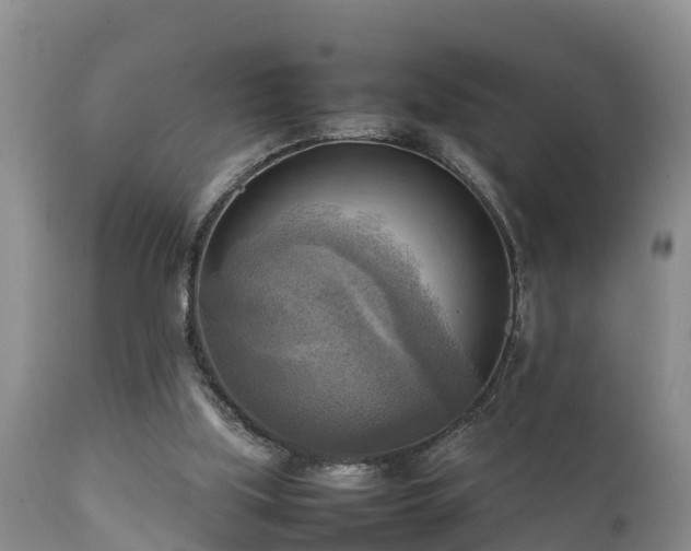 X0000112090059200908111404