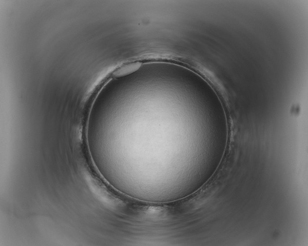 X0000112090060200908111404