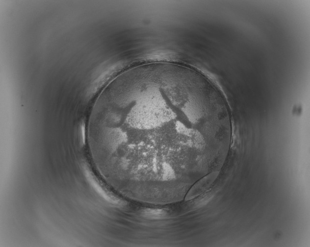 X0000112090061200908111404