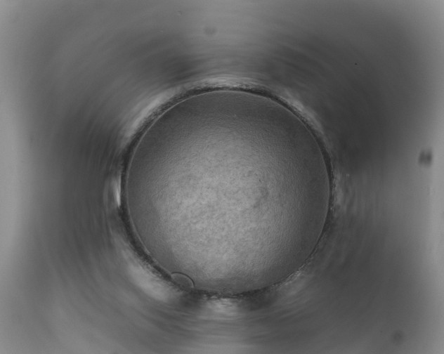 X0000112090062200908111404