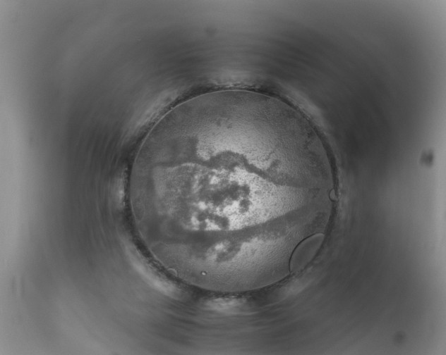 X0000112090065200908111404