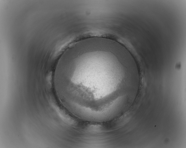 X0000112090066200908111404