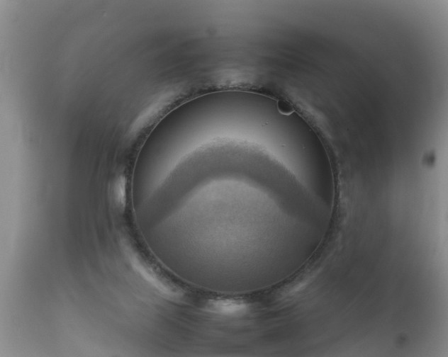 X0000112090067200908111404