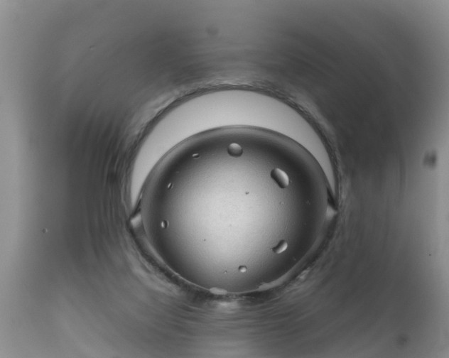 X0000112090068200908111404