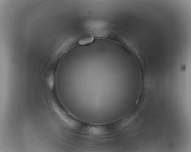 X0000112090069200908111404