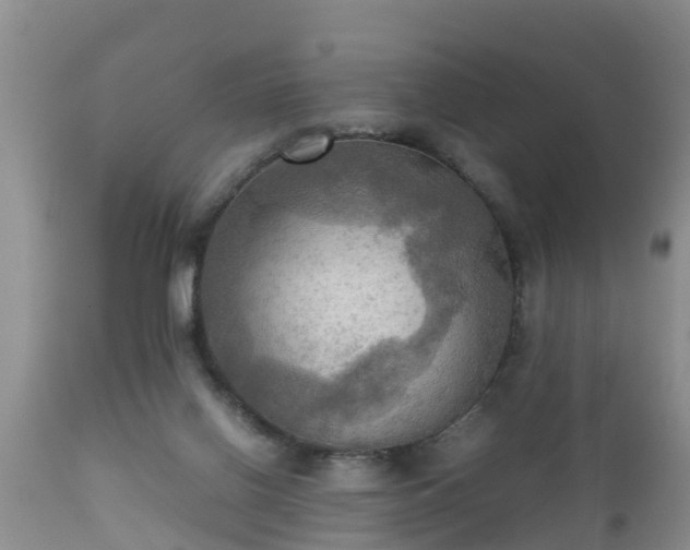 X0000112090070200908111404