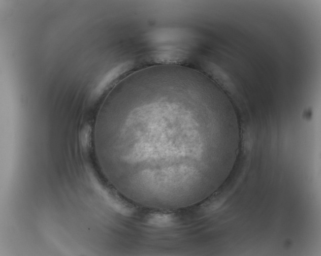 X0000112090071200908111404