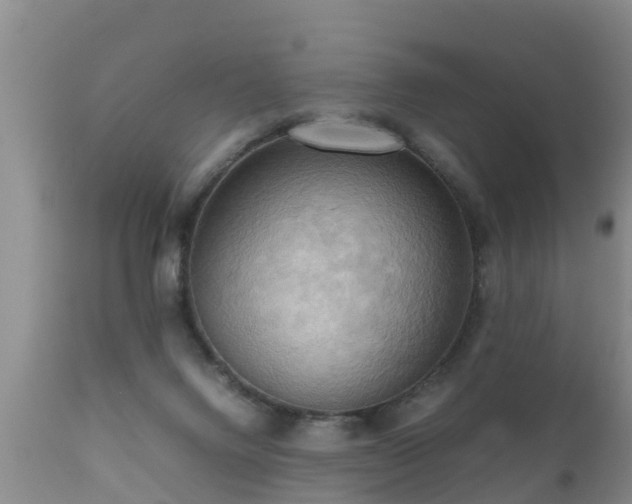 X0000112090072200908111404