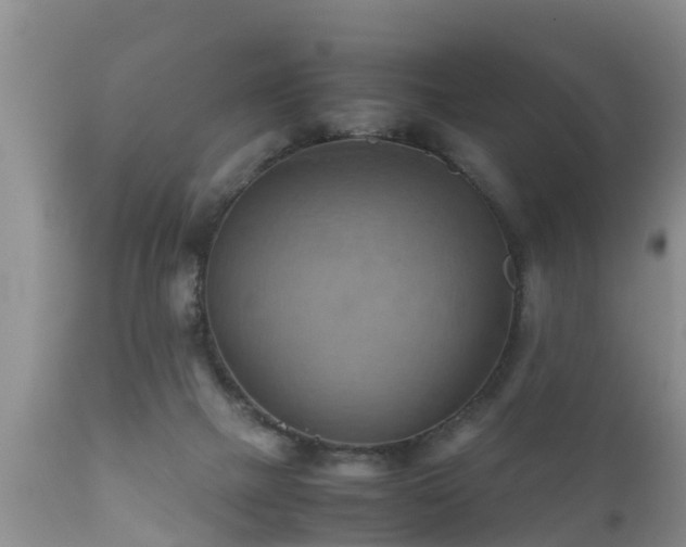 X0000112090073200908111404